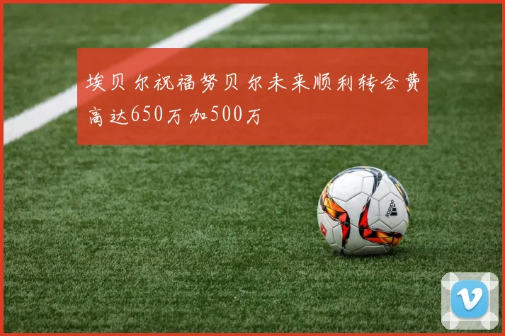 埃贝尔祝福努贝尔未来顺利转会费高达650万加500万