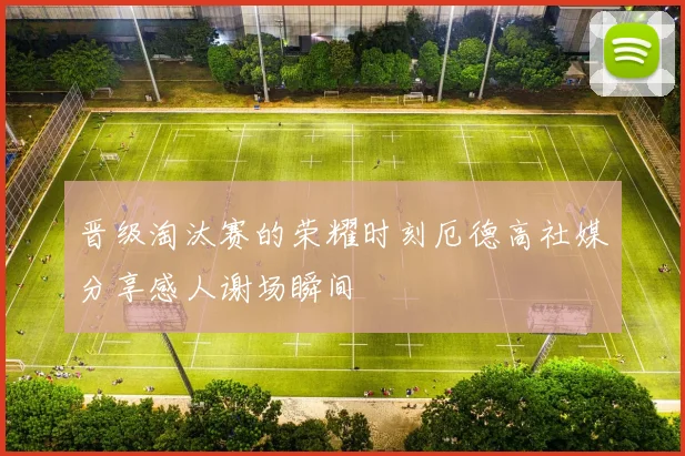 晋级淘汰赛的荣耀时刻厄德高社媒分享感人谢场瞬间